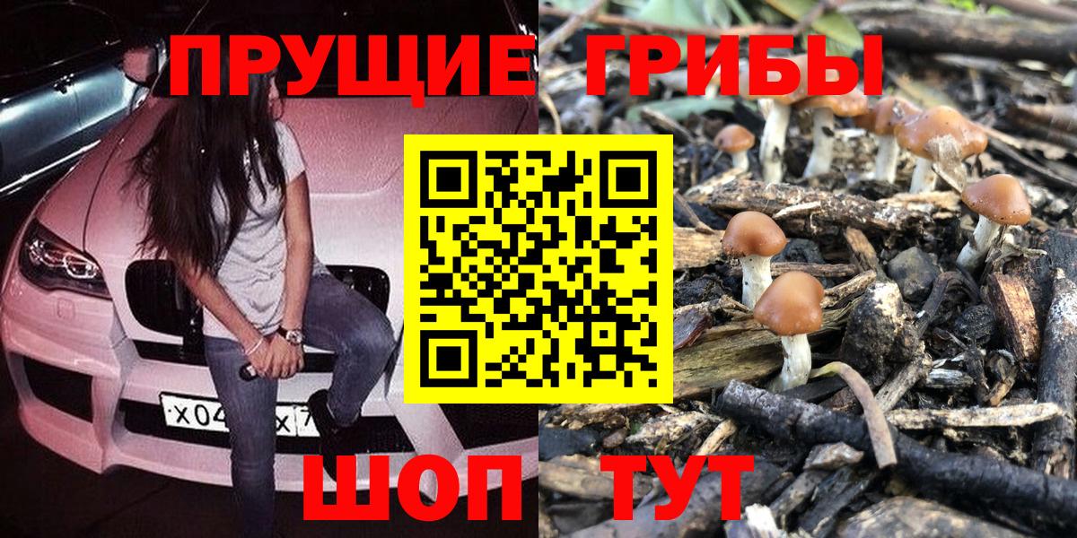 Псилоцибиновые грибы прущие грибы  Вход с VPN  где можно купить   Старая Купавна 